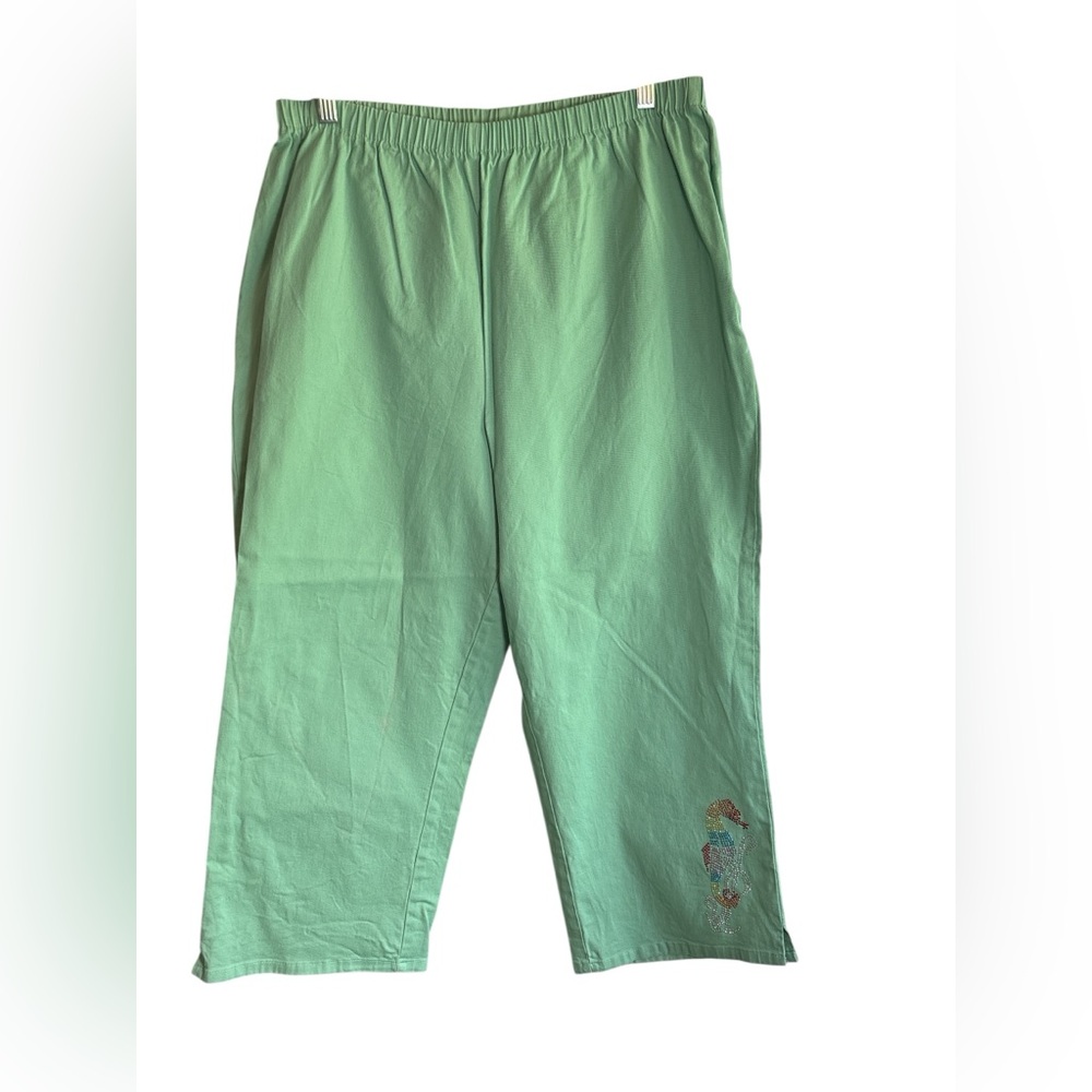 Denim 24/7 Light Green Capri Pants
22W Rhinestone Seahorse Elastic Waist